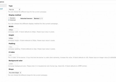 Campaign Activity Settings